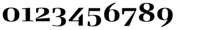 FF Signa Serif OT Bold Font OTHER CHARS