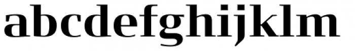 FF Signa Serif OT Bold Font LOWERCASE