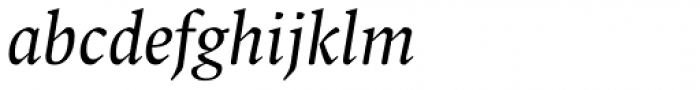 FF Spinoza OT Italic Font LOWERCASE