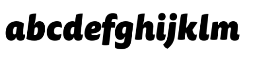 FF Tisa Sans Paneuropean Black Italic Font LOWERCASE