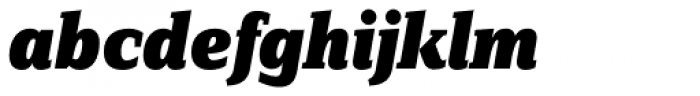 FF Zine Serif Display OT Black Italic Font LOWERCASE