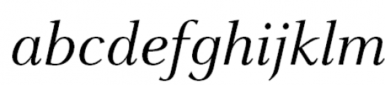 FF Celeste Pro Italic FONT