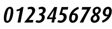 FF Dax Offc Pro Condensed Bold Italic Font OTHER CHARS