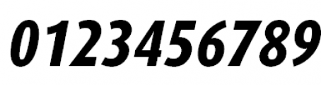 FF Dax Offc Pro Condensed Extrabold italic Font OTHER CHARS