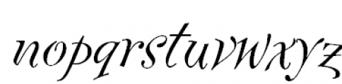 FF Fontesque Offc Pro Italic Font LOWERCASE