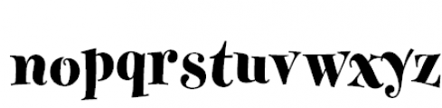 FF Fontesque Pro Extrabold Font LOWERCASE