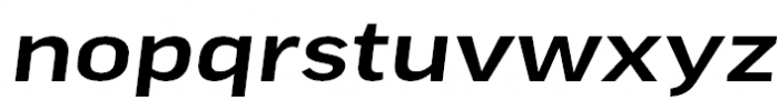 FF Good Pro Extended Medium Italic Font LOWERCASE