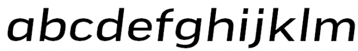 FF Good Pro Extended News Italic FONT