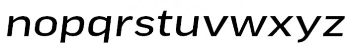 FF Good Pro Extended News Italic Font LOWERCASE