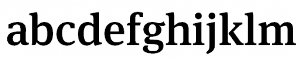 FF Meta Serif Pro Medium FONT