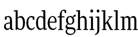 FF More Pro Condensed Book FONT