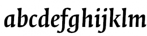FF Quadraat Offc Pro Bold Italic FONT