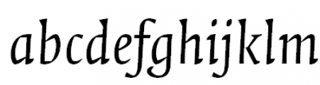 FF Quadraat Offc Pro Italic Font LOWERCASE