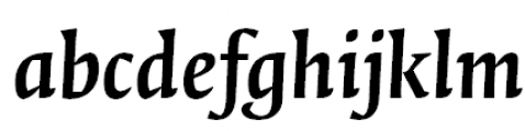 FF Quadraat Pro Bold Italic FONT