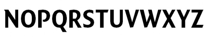 FF Quadraat Sans Pro Condensed Bold Font UPPERCASE
