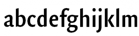 FF Quadraat Sans Pro Condensed Demi Bold FONT