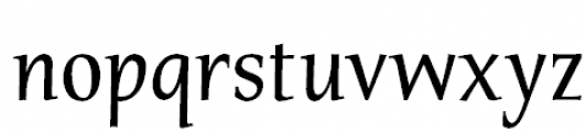 FF Tarquinius Pro Book Font LOWERCASE