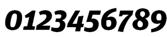 FF Unit Slab Offc Pro SC Black Italic Font OTHER CHARS