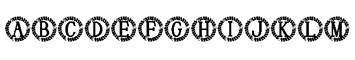 Finoria Monogram FONT