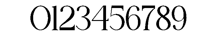 Fiorena Regular Font OTHER CHARS