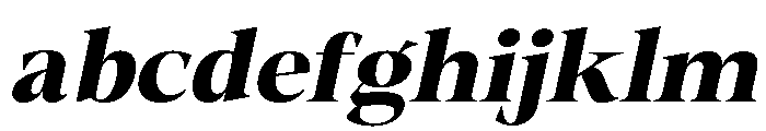Fitgad Bold Ita SemExp FONT