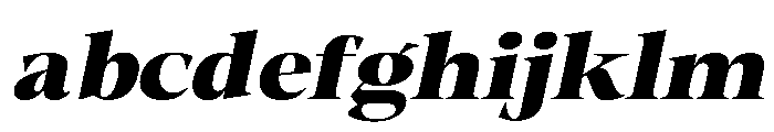 Fitgad ExtBd Ita Exp FONT