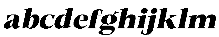 Fitgad ExtBd Ita SemExp FONT