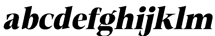 Fitgad ExtBd Ita SemiCond FONT