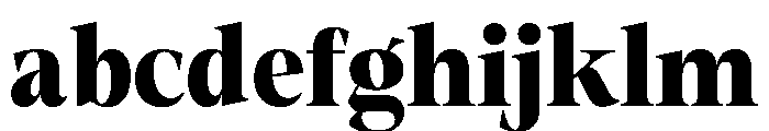 Fitgad ExtBd SemiCond FONT