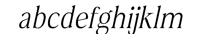 Fitgad ExtLt Ita Cond FONT