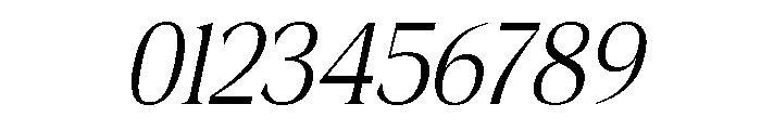 Fitgad ExtLt Ita SemiCond Font OTHER CHARS