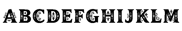 Fitz Regular Font UPPERCASE
