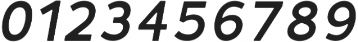 Fibon Neue SemiBold Italic Round otf (600) Font OTHER CHARS