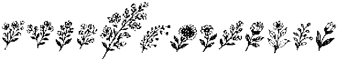 Field Notes Icons otf (400) Font UPPERCASE