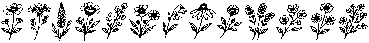 Field Notes Icons otf (400) FONT