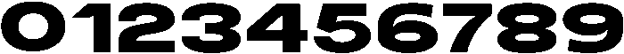 Fierce Black otf (900) Font OTHER CHARS