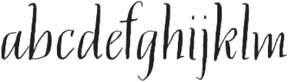 Filet Serif otf (400) Font LOWERCASE