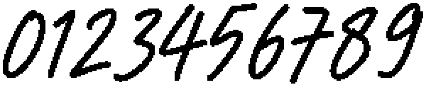 Fine Checklist Bold otf (700) Font OTHER CHARS