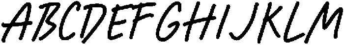 Fine Checklist Bold otf (700) Font UPPERCASE