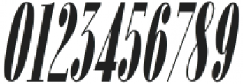 Fiona Pro Black Italic otf (900) Font OTHER CHARS