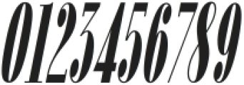 Fiona Pro Black Italic ttf (900) Font OTHER CHARS