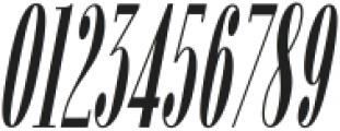 Fiona Pro Bold Italic ttf (700) Font OTHER CHARS