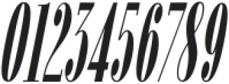 Fiona Pro ExtraBold Italic ttf (700) Font OTHER CHARS