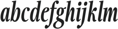 Fionas ExtraBold Italic otf (700) Font LOWERCASE