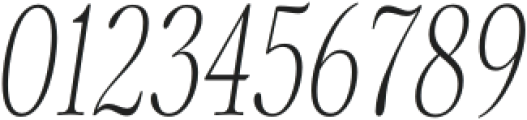 Fionas-Italic otf (400) Font OTHER CHARS