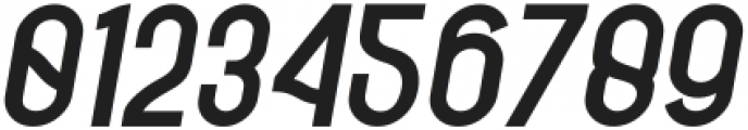 Fischel Bold Italic Italic otf (700) Font OTHER CHARS