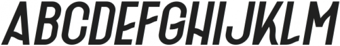 Fischel Bold Italic Italic otf (700) Font UPPERCASE