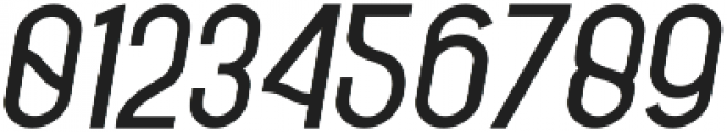 Fischel Regular Italic otf (400) Font OTHER CHARS