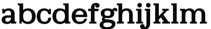 Fiducia Slab Font LOWERCASE