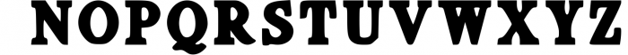 Fiber - Vintage Serif Font Font UPPERCASE
